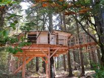 TREEHOUSE VOLARY (ŠUMAVA)