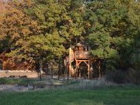 Wellness  Treehouse – Višňová, Jižní Čechy