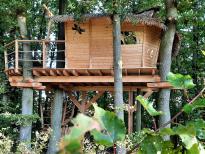 Treehouse v Lipách